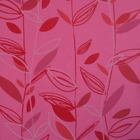 Фото BN International Twist 47112