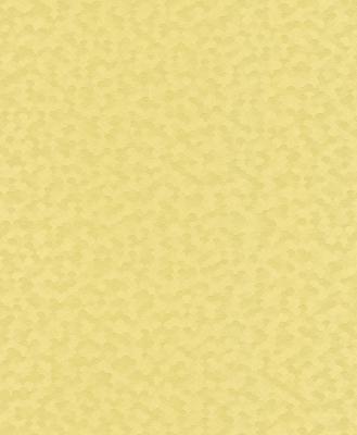 Фото Rasch b.b home passion 2014 453454