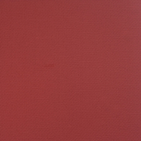 Фото BN International Mart Visser 48254