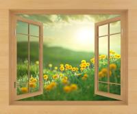 Цветочное поле