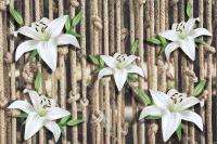 Белые лилии