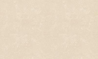 Фото Rasch Metal Spirit 977127