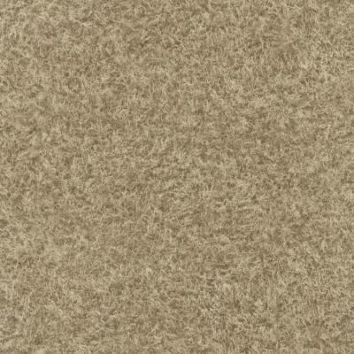 Фото Rasch Black Forest 2016 514322