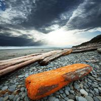 Морской берег