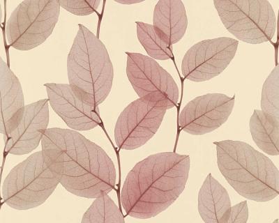 Фото A.S.Creation X-Ray 34247-3