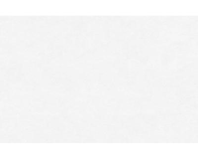 Фото A.S.Creation Maistervlies 2020 95329-1