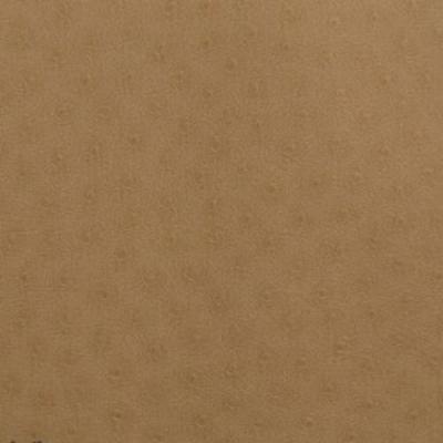 Фото Marburg Opulence Giulia 51310