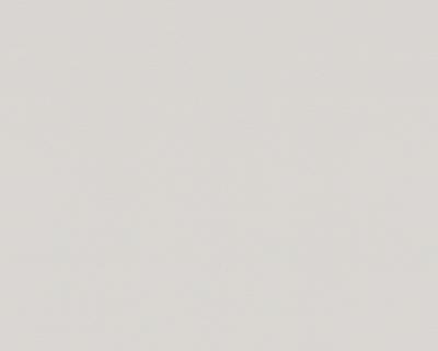 Фото A.S.Creation NAF NAF 954510