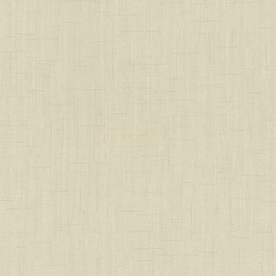 P+S International Spotlight 02461-20