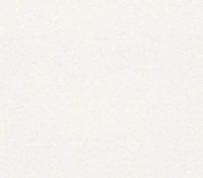 Rasch Wallton 2021 129809 (плотность 150 гр)