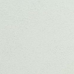 Фото BN International Authentique 45732