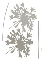 Komar 19706h (Silhouette)