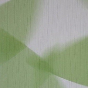 Фото BN International Silhouets 43237