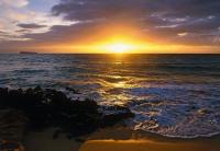 Komar 1-607 NG (Пляж Гаваи)