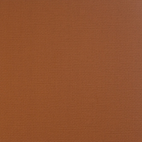 Фото BN International Mart Visser 48252