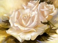 Нежные розы