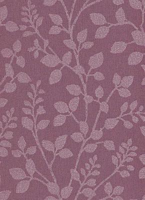 Фото Erismann Cassiopeia 1774-16