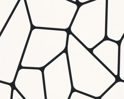 Фото A.S.Creation Best of Vlies 2014 255266