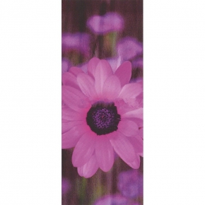 Фото Marburg Suprofil 2014 45314