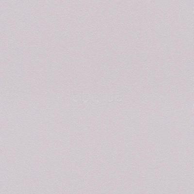 Фото Rasch Sparkling 523171