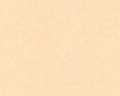 Фото A.S.Creation MV meets XXL 715647