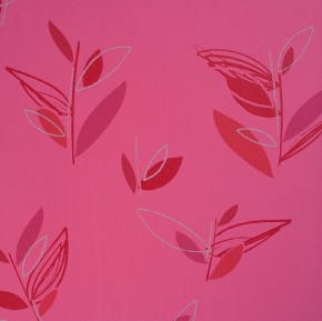 Фото BN International Twist 47122