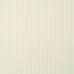 Фото BN International Eye 47176