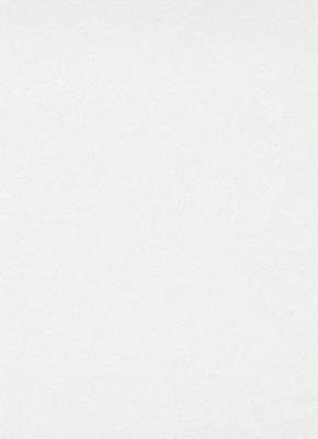 Фото Erismann RollOver Deco 3333-5 (плотность 150 гр.)