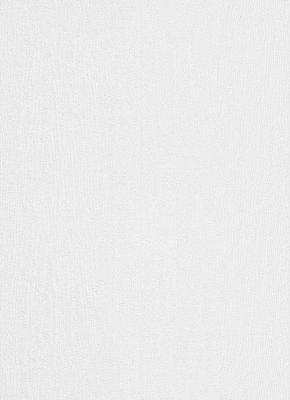 Фото Erismann RollOver 5370-01 (5370-10)