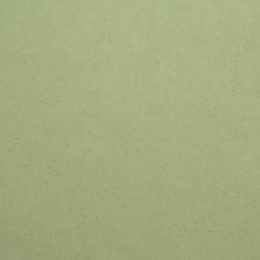 Фото BN International Authentique 45749