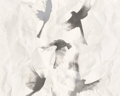 Фото A.S.Creation Free Nature 34396-5