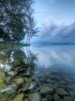 Камни в воде