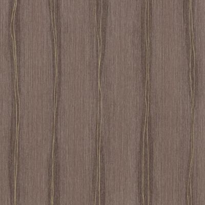 Фото P+S International Sinfonia 2015 42088-10