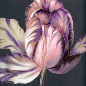 Фото Marburg Ulf Moritz Scala 74854