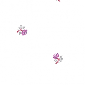 Фото BN International Bont 46904