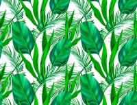 Зеленые листья