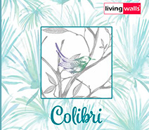 Colibri