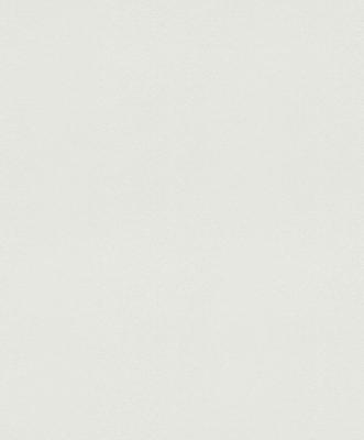 Фото Rasch Modern Surfaces 2 604016