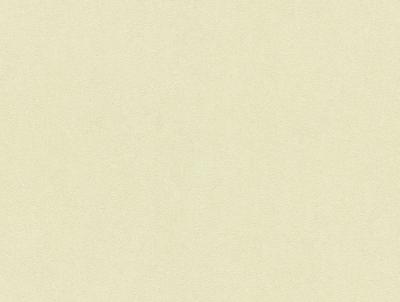 Фото A.S.Creation Vernissage 909640