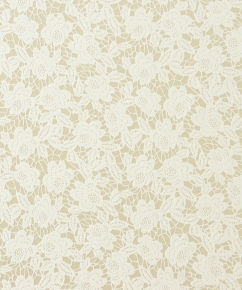 Фото BN International Shadows on the Walls 45570