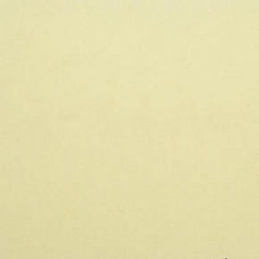 Фото BN International Authentique 45748