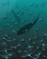 Komar V4-759 (Ginkgo)