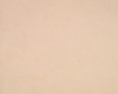 Фото A.S.Creation Styleguide Natuerlich 970336