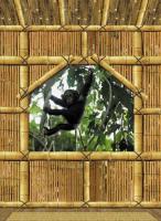 Komar 4-505 NG (Домик на дереве)