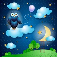 Сова на облаке