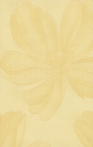 Фото Marburg Private 97086