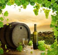 Бочка с вином