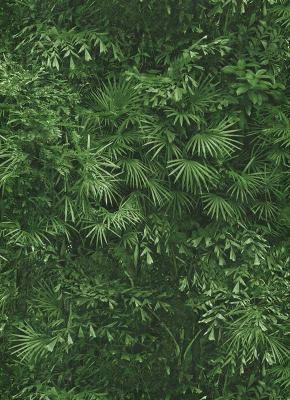 Фото Erismann Instawalls 6374-07