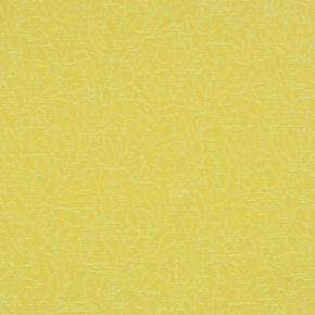 Фото BN International Motion 46611