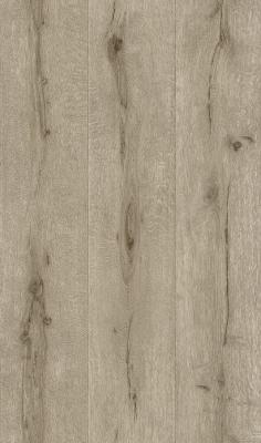 Фото Rasch Black Forest 2016 514414